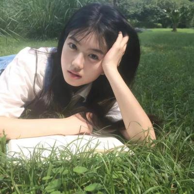 蒂科与鲨鱼