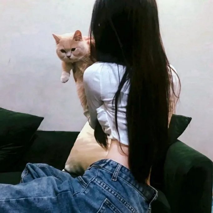 飞车女童党